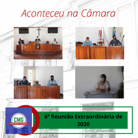 Reunião Extraordinária de 2020